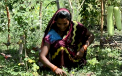 Woman Farmer demonstrates Woman Power