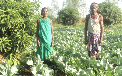 Vegetable Growers Double their Income