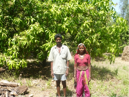 Wadi Cultivation