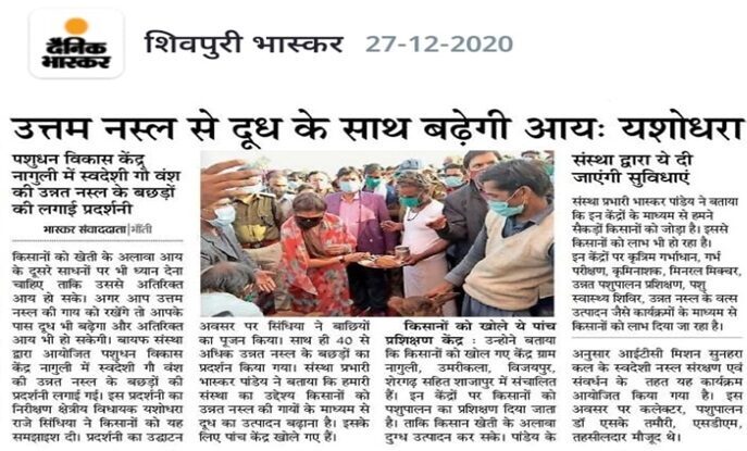 MP-News_2