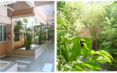 BAIF Bhavan completes 25 Years