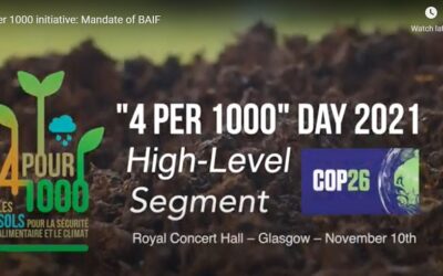 4 per 1000 initiative:  Mandate of BAIF