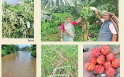 Mixed Farming for Sustainable Livelihood
