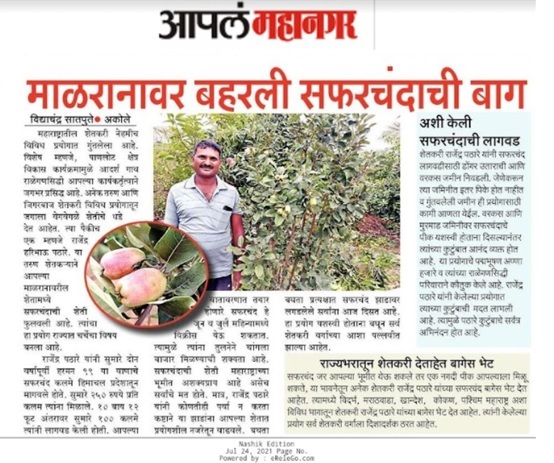 news8