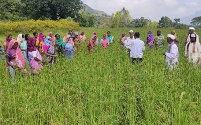 Maharashtra Gene Bank Programme for Conservation