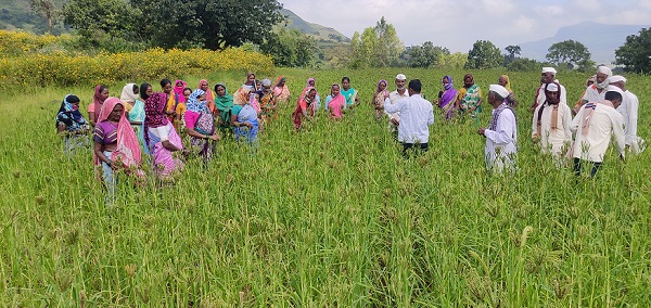 Maharashtra Gene Bank Programme for Conservation