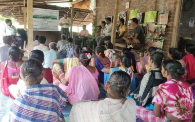 World Bamboo Day Celebrated
