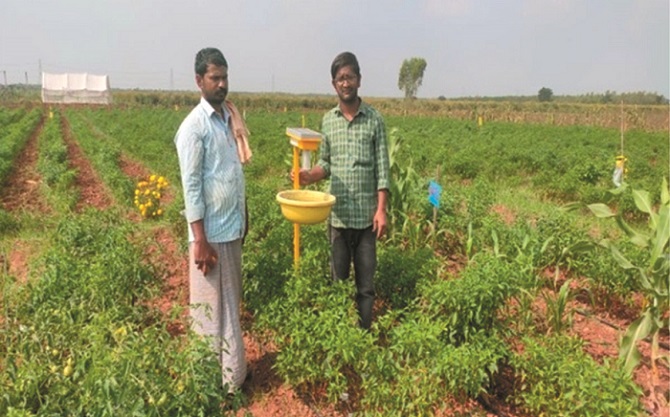 Adoption of Natural Farming