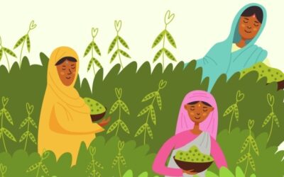 World Food Day