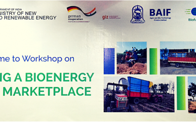 Harnessing Biomass in Rural India for Bioenergy and Livelihood creation