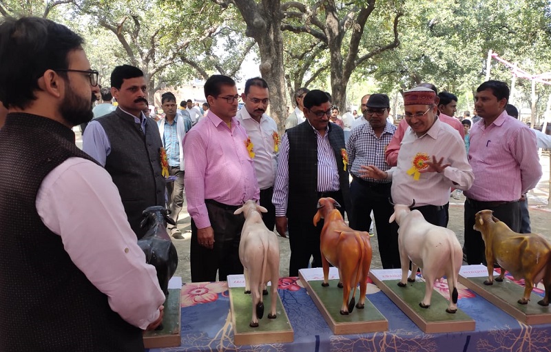 Adll. Director, Dy. Director & other diginatories at stall .