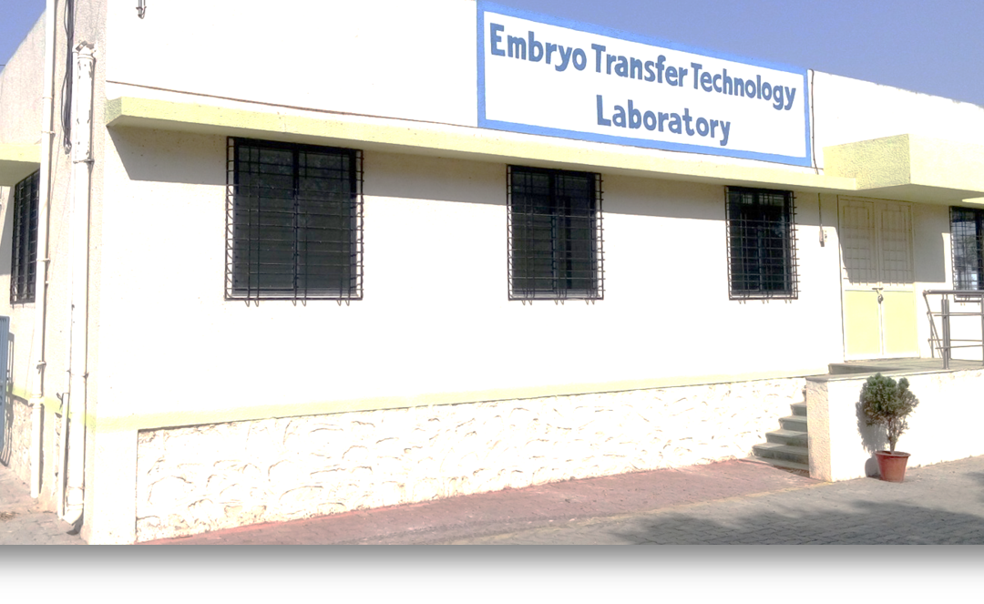 Biotechnology – In-Vitro-Fertilization (IVF) – A way to multiply superior germplasm in Livestock