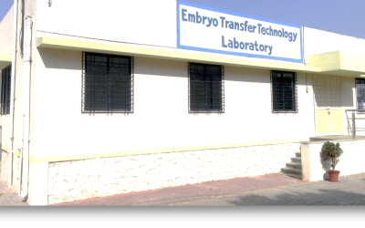 Biotechnology – In-Vitro-Fertilization (IVF) – A way to multiply superior germplasm in Livestock