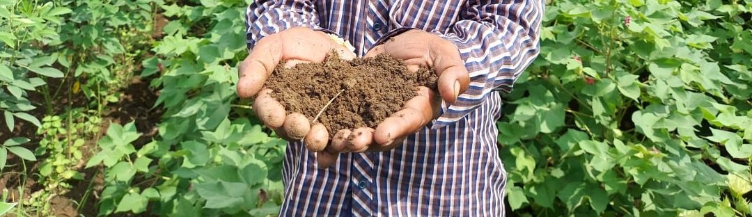 Soil Health Management