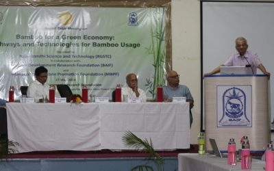 Bamboo for a Green Economy