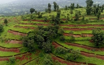UNited4Land: Six soil stewards share their approaches for multi-stakeholder action